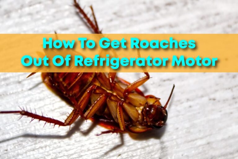 How To Get Roaches Out Of Refrigerator Motor A Step By Step Guide   How To Get Roaches Out Of Refrigerator Motor 1 768x512 